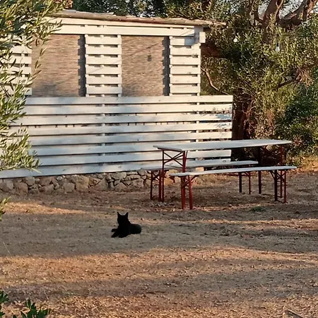 Macaria Agricampeggio