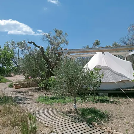 Macaria Agricampeggio