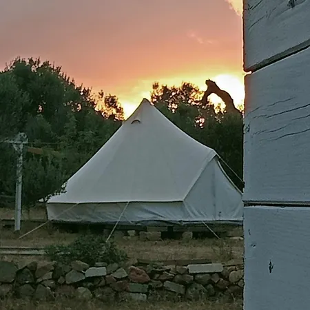 Macaria Agricampeggio أليستي