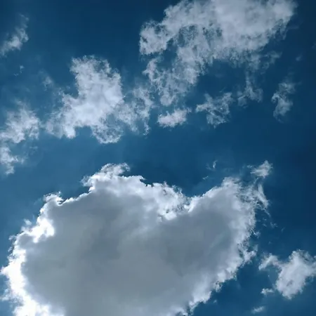 Macaria Agricampeggio