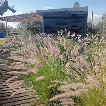 Macaria Agricampeggio *