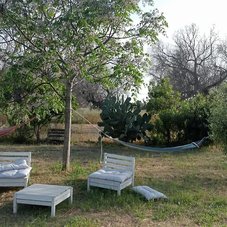 Macaria Agricampeggio * Alliste