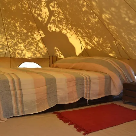 Macaria Agricampeggio *