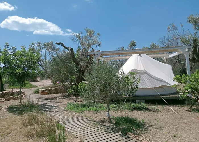 Macaria Agricampeggio