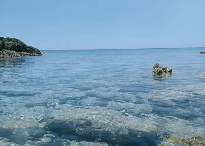 Macaria Agricampeggio *