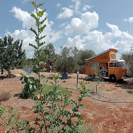 Macaria Agricampeggio *